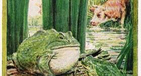 The Frogs & The Ox